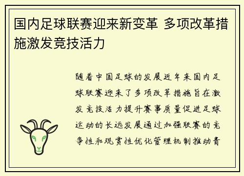 国内足球联赛迎来新变革 多项改革措施激发竞技活力