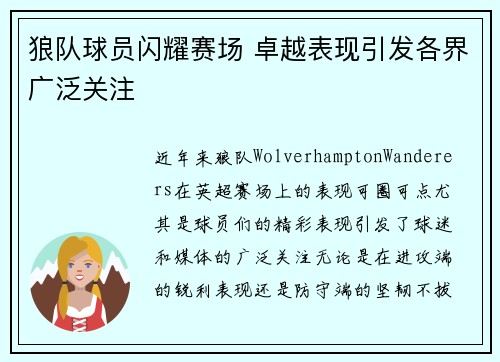 狼队球员闪耀赛场 卓越表现引发各界广泛关注